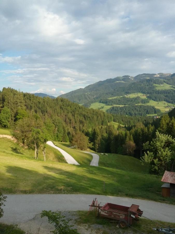 Bauernhof Vordergrub Lägenhet Scheffau am Wilden Kaiser Exteriör bild